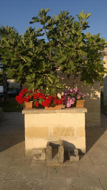Masseria Grande Hotel ตอร์เรเดลลอร์โซ ภายนอก รูปภาพ