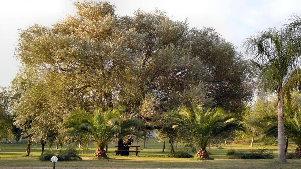 Masseria Grande Hotel ตอร์เรเดลลอร์โซ ภายนอก รูปภาพ