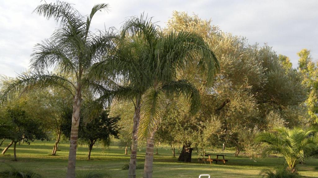 Masseria Grande Hotel ตอร์เรเดลลอร์โซ ภายนอก รูปภาพ